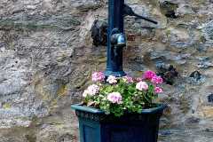 490865674_29136409202673609_5373028541383621930_n