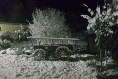 487312834_9620284974661100_8859931919982023105_n