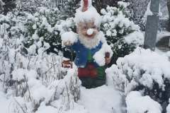 487365069_9620294051326859_1283432859597570587_n