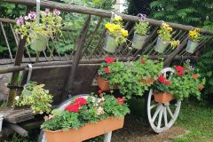 573875640_4302906173329652_3830441302911898127_n