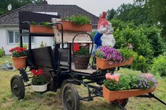 574564775_4302905809996355_5018343986759120159_n