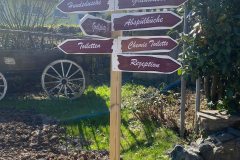 576372411_4302906016663001_1681749859350313406_n