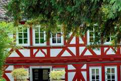 490827837_29136409146006948_4721635347314490082_n