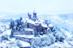 492193149_9787867317902864_195646448551087847_n