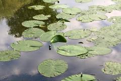 510881719_23940317602247585_5541551437711266183_n