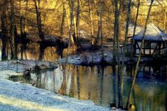 573331890_4302906149996321_661243793297071991_n