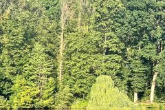 574322649_4302906059996330_779195889139866944_n-1