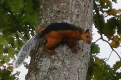 574951195_4302904296663173_2313130653719270061_n