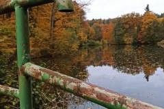 575104952_4302903589996577_6076107052586904858_n