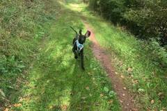 575124031_4302904379996498_7465773862416560866_n