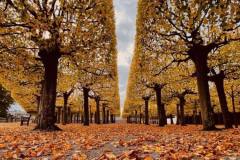 576327328_4302903516663251_9070837358901601020_n