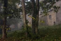 576360895_4302904299996506_2802156221834408197_n