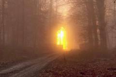 576376150_4302903556663247_7949281868095205830_n