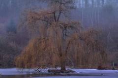 576521813_4302903859996550_8441649281952130184_n