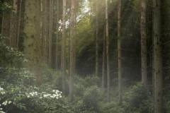 576908599_4302903789996557_5295797262366686200_n